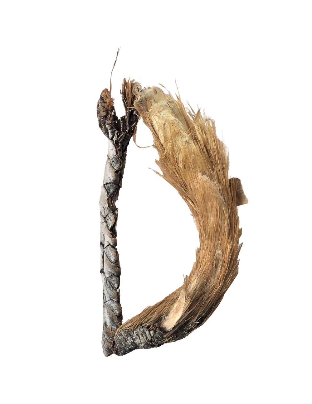 D
